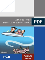 ABC Del Nuevo Sistema Pena-pgr(45)