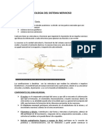 Lectura Del Sistema Nervioso