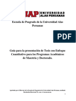 Guia Informe Final Alas Peruanas