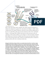 Biology for Kids DNA and Genes DNA is an Essential Molecule for Life