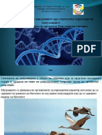 Популациона генетика презентација