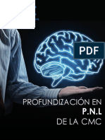 Profundización En: de La CMC