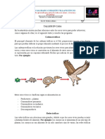 Taller en Casa 4°