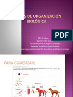 Niveles de Organización Biológica