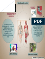 Infografia Motricidad PDF