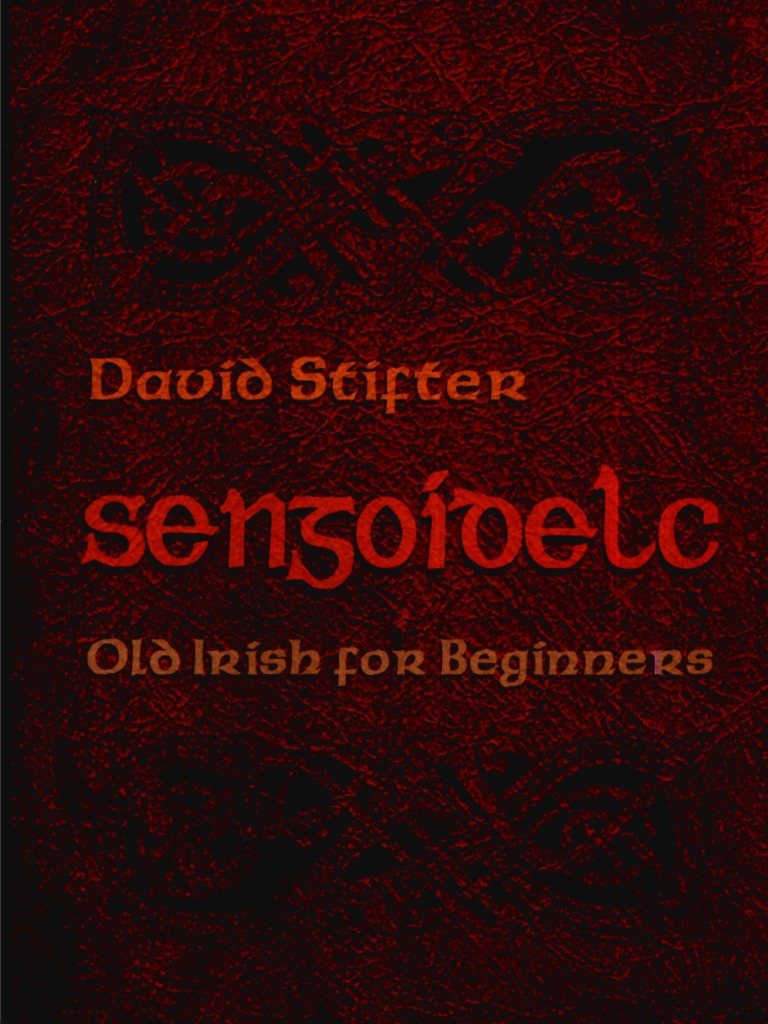 David Stifter - Sengoidelc - Old Irish For Beginners (Irish Studies ...