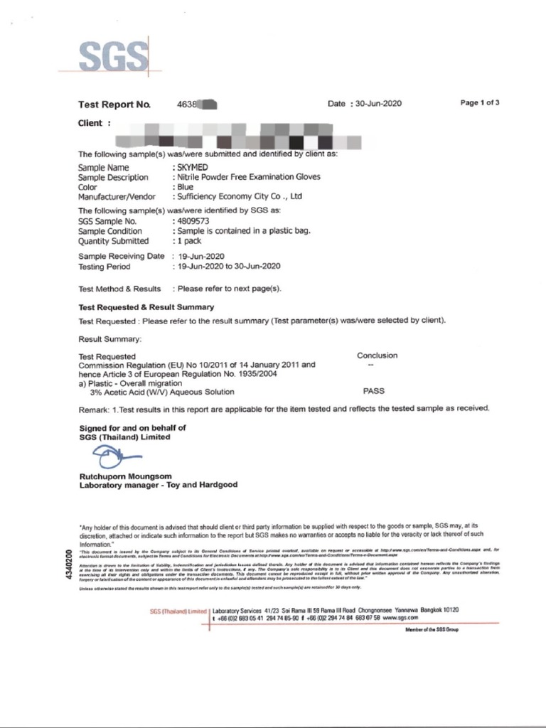 Sgs Inspection Sky | PDF