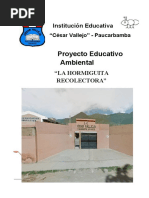 Proyecto Educativo Ambiental-2