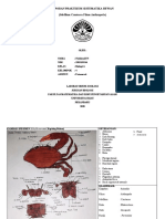 Nabilatul FN - K4 - Crustacea - Acara 3 - Fatmawati