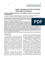 Correlation of The Radiographic and Morphological Features of The Dental