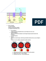 Cellular Transport