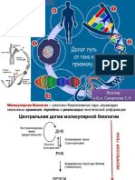 Смирнова ДНК РНК Биосинтез белка