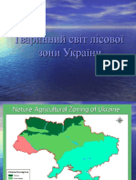 Лісова зона - України