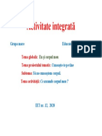 Activitate Integrată