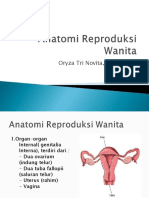 Anatomi Reproduksi Wanita (1)