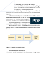 9psihologia Procesului Decizional