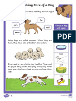 T T 2546651 Ks1 How To Look After A Dog Differentiated Reading Comprehension Activity