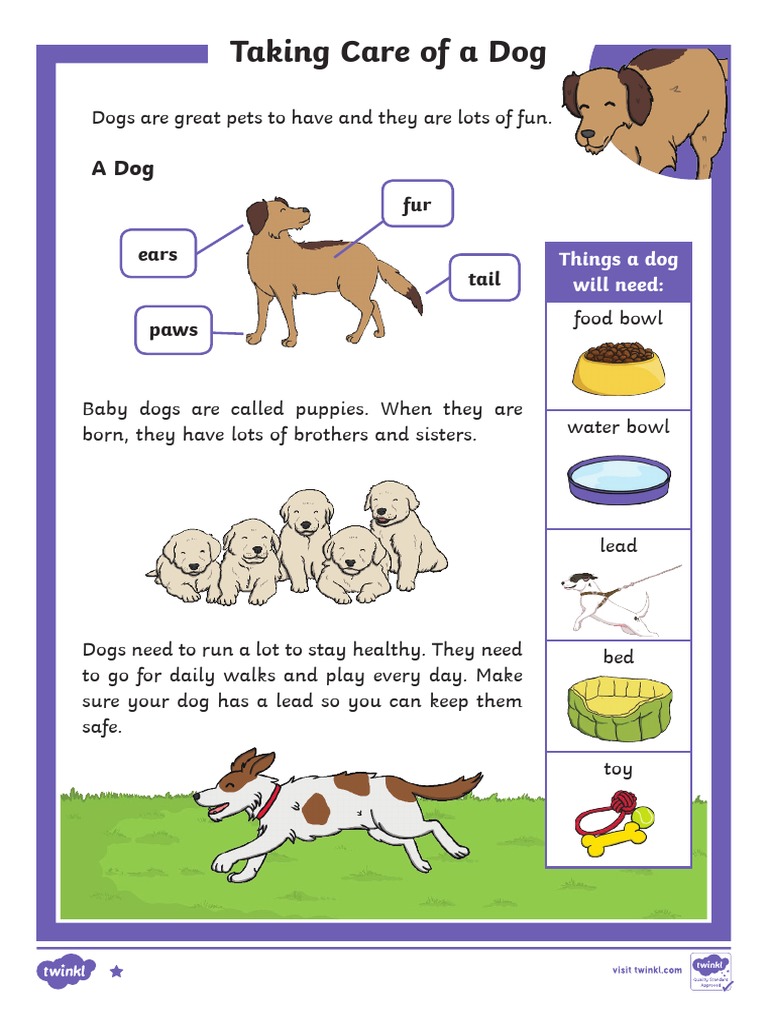 T T 2546651 Ks1 How To Look After A Dog Differentiated Reading