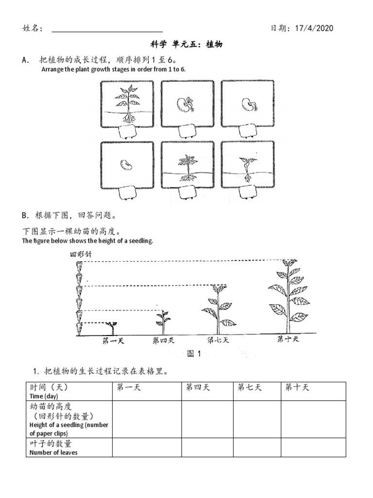 植物的成长 Pdf