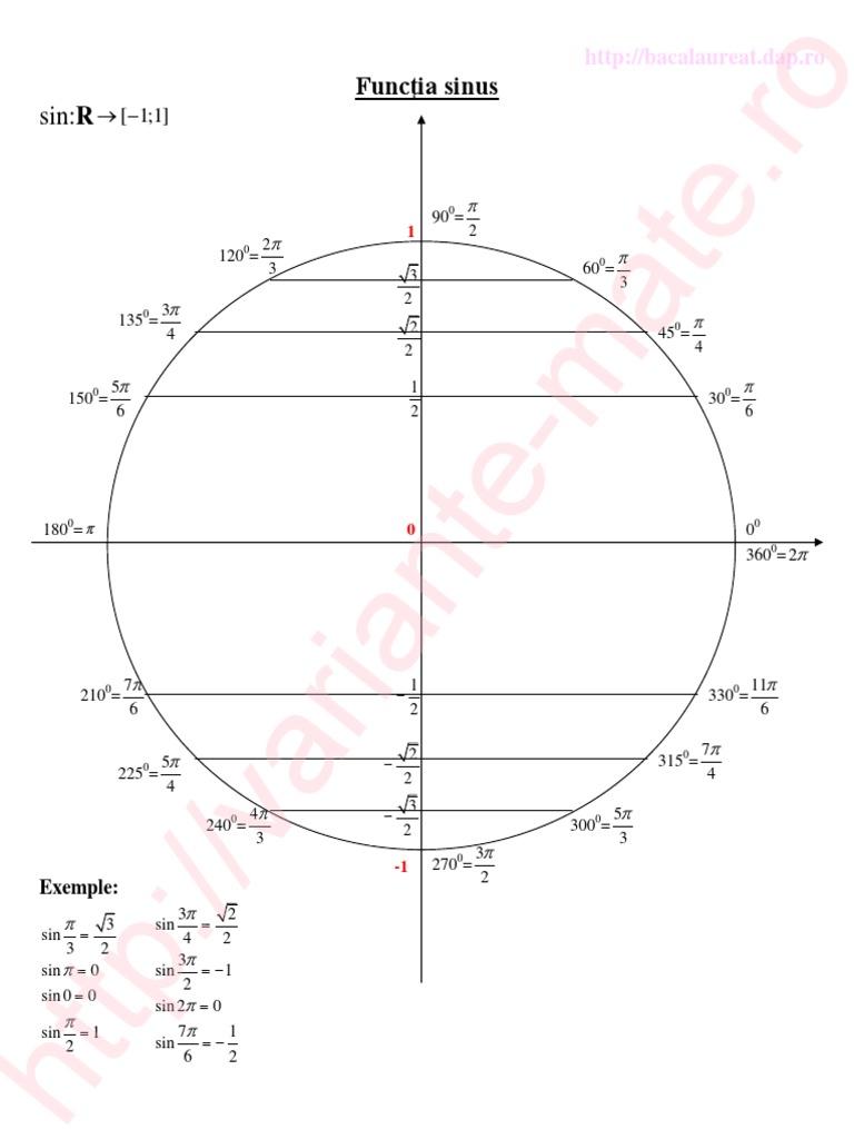 Sinus | PDF