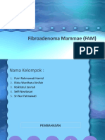 Fibroadenoma Mammae (FAM)