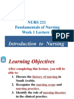 Week 1 Introduction To Nursing & Nursing Theory 2020