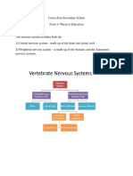 Form 5 Nervous System