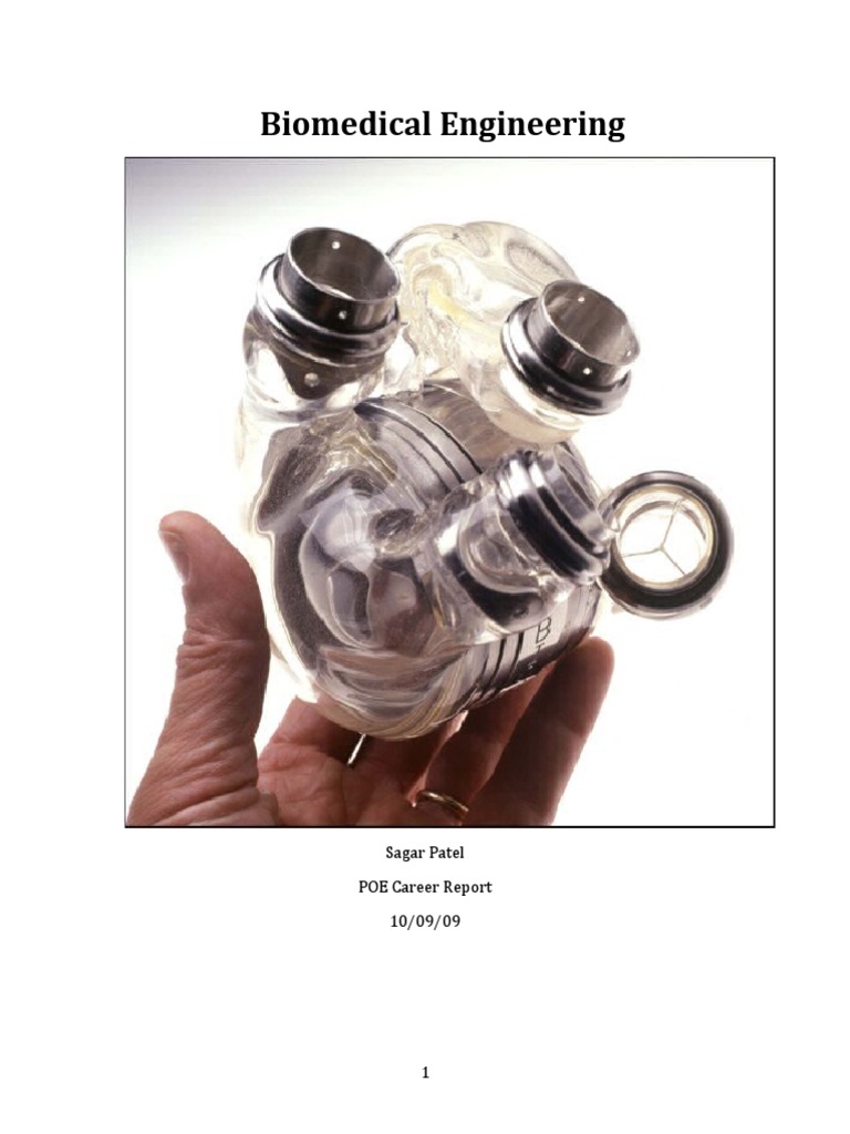 Overview of Biomedical Engineering Careers | PDF | Biomedical ...