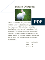Description of Rabbit: Name: Radhitta D.A. Class: 7A Number: 18