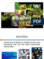 1. Biodiversidade