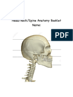 Anatomy of The Head Neck Spine Booklet