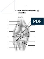 Anatomy of The Knee Booklet