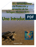Amenazas Tortugas Marinas