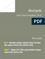 Bio Optik