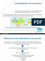 Enfermedades de Pirimidinas y Purinas - Parte Numero 4