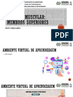 AULA 2 Sistema Muscular MMSS