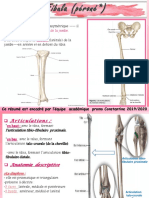 Fibula Final Version1