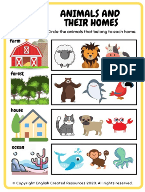 Animals and Their Homes | PDF