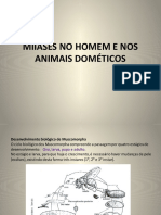 AulaMIIASES NO HOMEM E NOS ANIMAIS DOMÉTICOS