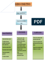 Mapa Conceptual Tejido Conectivo PDF