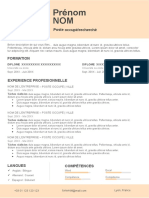 59 Curriculum Vitae Couleur