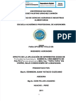 PDF Tesis en Palto - Compress
