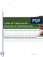 Apunte F Desarrollo de Las Funciones Ejecutivas y de La Corteza Prefrontal