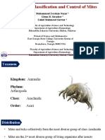 Morphology Classification and Control of Mites