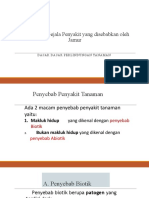 Pengenalan Gejala Penyakit Yang Disebabkan Oleh Jamur