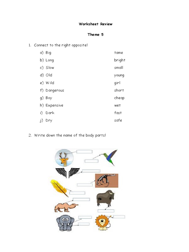 Worksheet Review | PDF | Sharks | Nature