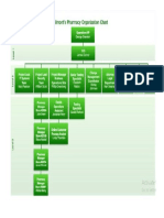 Project Org. Chart (Wilmont's Pharmacy Drone Case)