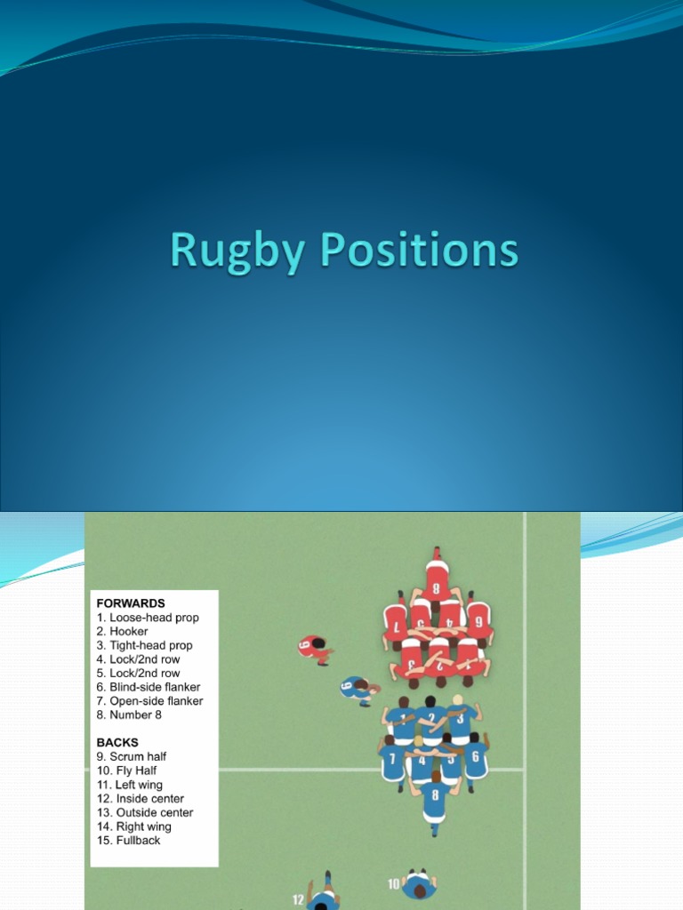 Forwards vs. Backs in Rugby Explained | PDF