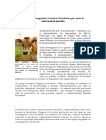 Vacas Resistentes A Bacterias