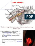 Axillary Artery